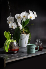 Turquoise mug with tea. Glass teapot with berry tea. Green apple. Still life on a dark table.