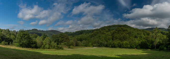 Green meadow and forest near Osadne village in valley of river Udava