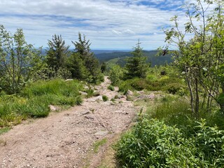path in the mountains
