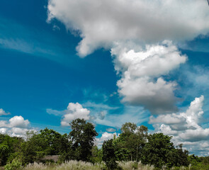 Obraz premium Beautiful autumnal clouds are floating over the sky.