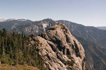 Fototapeta premium Mountains and trees