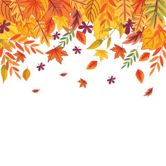 Falling autumn leaves on white background, vector illustration