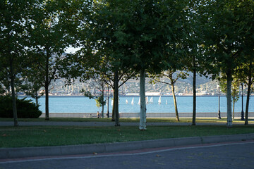Fototapeta na wymiar through the trees of a well-groomed city park, white sailboats can be seen against the background of mountains and the beautiful blue sea