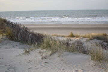 Vue sur la plage depuis les dunes de Leffrinckoucke