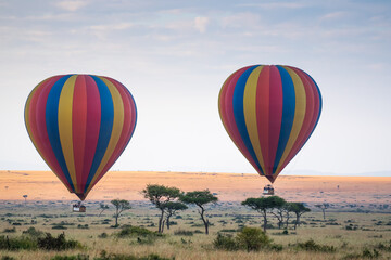 adventure, africa, african elephants, agriculture, air, animal, baby elephant and mother, baby elephants, background, balloon, balloon safari, ballooning, blue, colorful, countryside, elephants, farmi