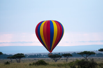Naklejka premium adventure, africa, african elephants, agriculture, air, animal, baby elephant and mother, baby elephants, background, balloon, balloon safari, ballooning, blue, colorful, countryside, elephants, farmi