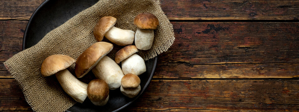 Fresh forest mushrooms /Boletus edulis (king bolete) / penny bun / cep / porcini in an old bowl / plate on the wooden dark brown table, top view background banner panorama