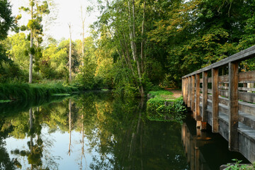 Symmetry of wooden bridge in the middle of the forest. Bridge in nature above the water in summer or spring.