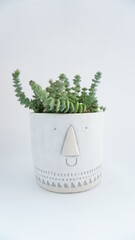 face plant pot with pagoda succulent