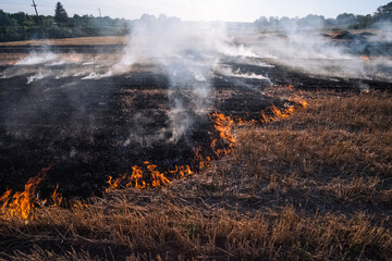 Fire, People burning old grass in the field