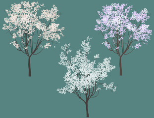 three light blossoming trees isolated on dark background