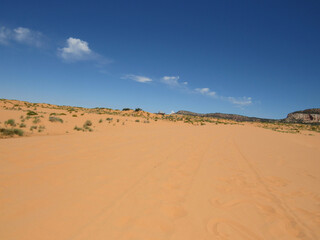 Pink Sands