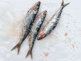 Raw mackerel fish with sea salt on white ceramic surface