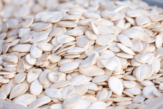 Lots Of White Pumpkin Seeds For Sale