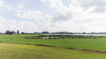 Fototapeta na wymiar Floodplains of the Rhine river near Spijk, The Netherlands