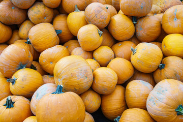 Diverse assortment of pumpkins ,close up. Autumn harvest.