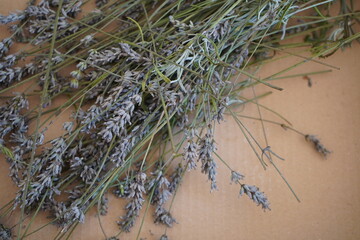 dry lavender