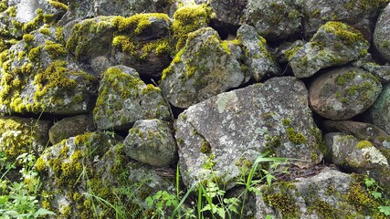 muro de piedra y musgo