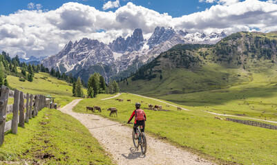 nice and active senior woman riding her electric mountain bike on the high plateau of Pratto Piazzo in the three peaks Dolomites , rocky silhouette of Mount Cristallo in background, South Tirol, Italy - obrazy, fototapety, plakaty