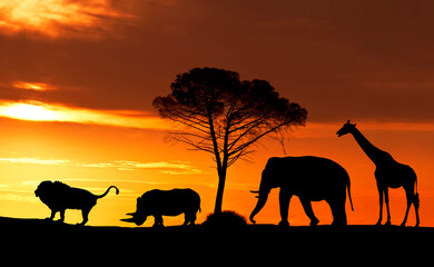 Fototapeta na wymiar Silhouettes of African animals on the background of a sunset in the savanna, collage