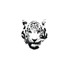 tiger head vector best art design