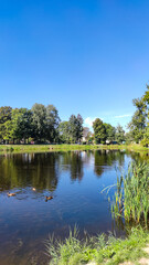 Fototapeta na wymiar Perfect lake in the city park