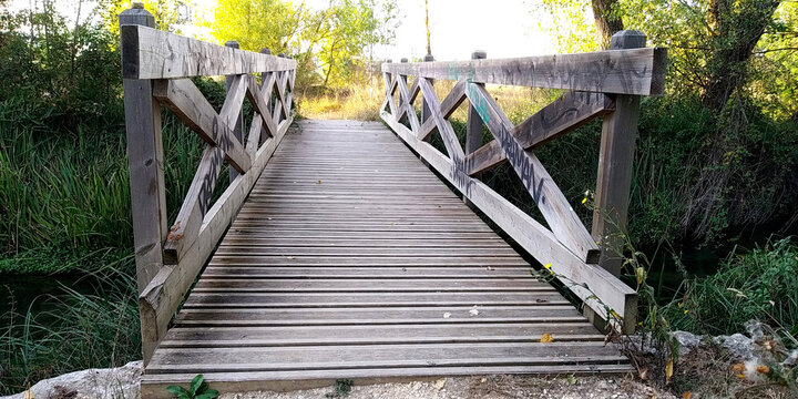 
Puente de madera en el bosque