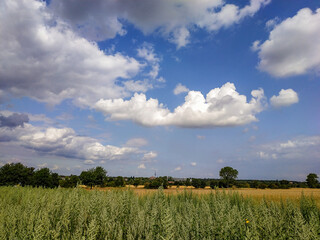 Fototapeta premium Kronsberg-Hannover