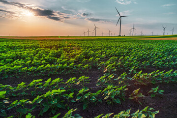 Renewable energy with wind farm turbines and generators in the sunset, beautiful landscape 