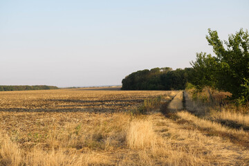 Autumn view. Harvested field. Countryside landscape 