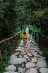 hikers walking by stone trail in forest