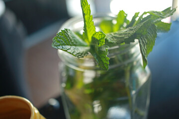 mojito cocktail on the beach