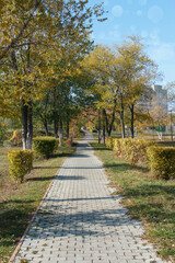 empty alley in autumn Park