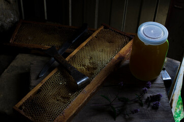 Jar of honey. Honey and honeycombs in the apiary. Beekeeper's workshop. Tools for honey extraction. Apiary. Extraction of honey. Beekeeper's tools. Honey production.