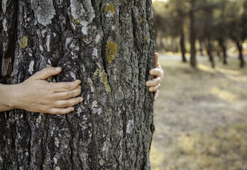 Woman hugging trees