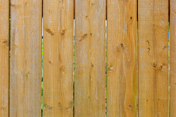 Picket fence on the boundary of the garden. Textured background of wooden surface