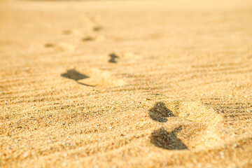 Footprints on sand on the beach. Footprints of bare foot on the beach