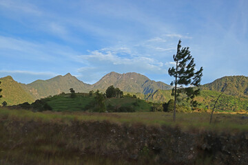 Chiriqui landscape with trees