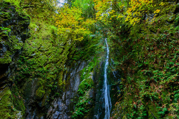 Fototapeta na wymiar waterfall in the autumn forest