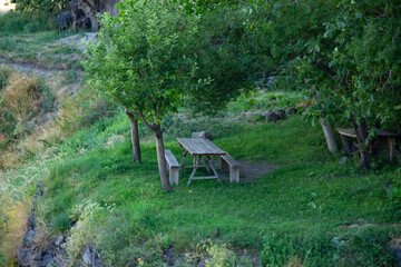 In the distance there is a table and a chair under a tree