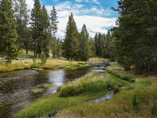 Fototapeta na wymiar Yellowstone valley landscape with river