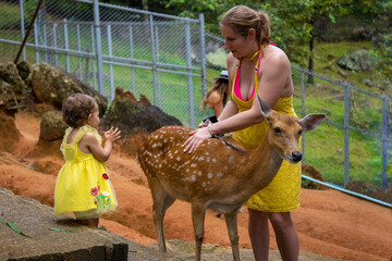Adorable cute toddler girl with mother touch little deer on a kids farm. Beautiful baby child petting animals in the zoo. Excited and happy girl on family weekend