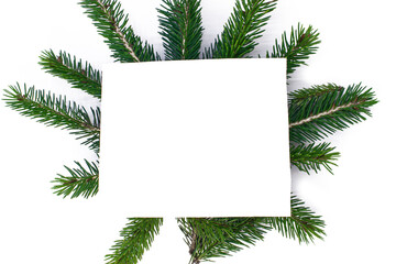 Christmas greeting background with an empty white leaf and green spruce branches. A layout consisting of identical branches with a white sheet on it