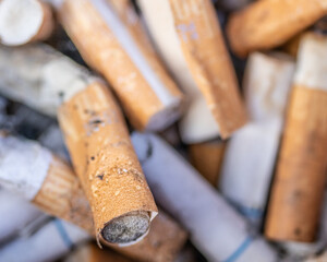 Pile of Cigarette Butts in Low Depth of Field 