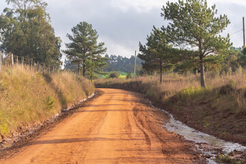 Dirt road and rural landscape in the interior of the State of Rio Grande do Sul in Brazil