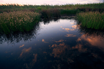 Reflections of clouds in the lake