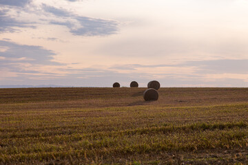 Side lit bales of hay in field seen during a late summer early morning, Island of Orleans, Quebec, Canada
