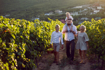 family with children, boys, stands in a grape field at sunset