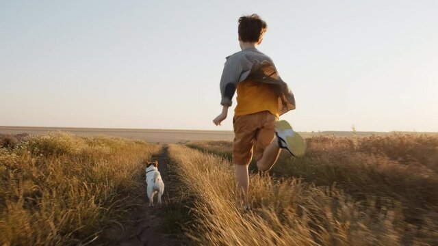 Happy boy with dog Jack Russell Terrier runs across field in summer sunset sun waving his hands slow motion. Walk hiking in sunbeams. Lens flares. Summer holidays. Childhood. Lifestyle. Pets. Travel