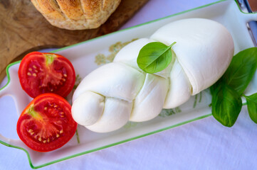 Fresh soft white italian cheese braid mozzarella buffalo made from Italian buffalo's milk by pasta filata method